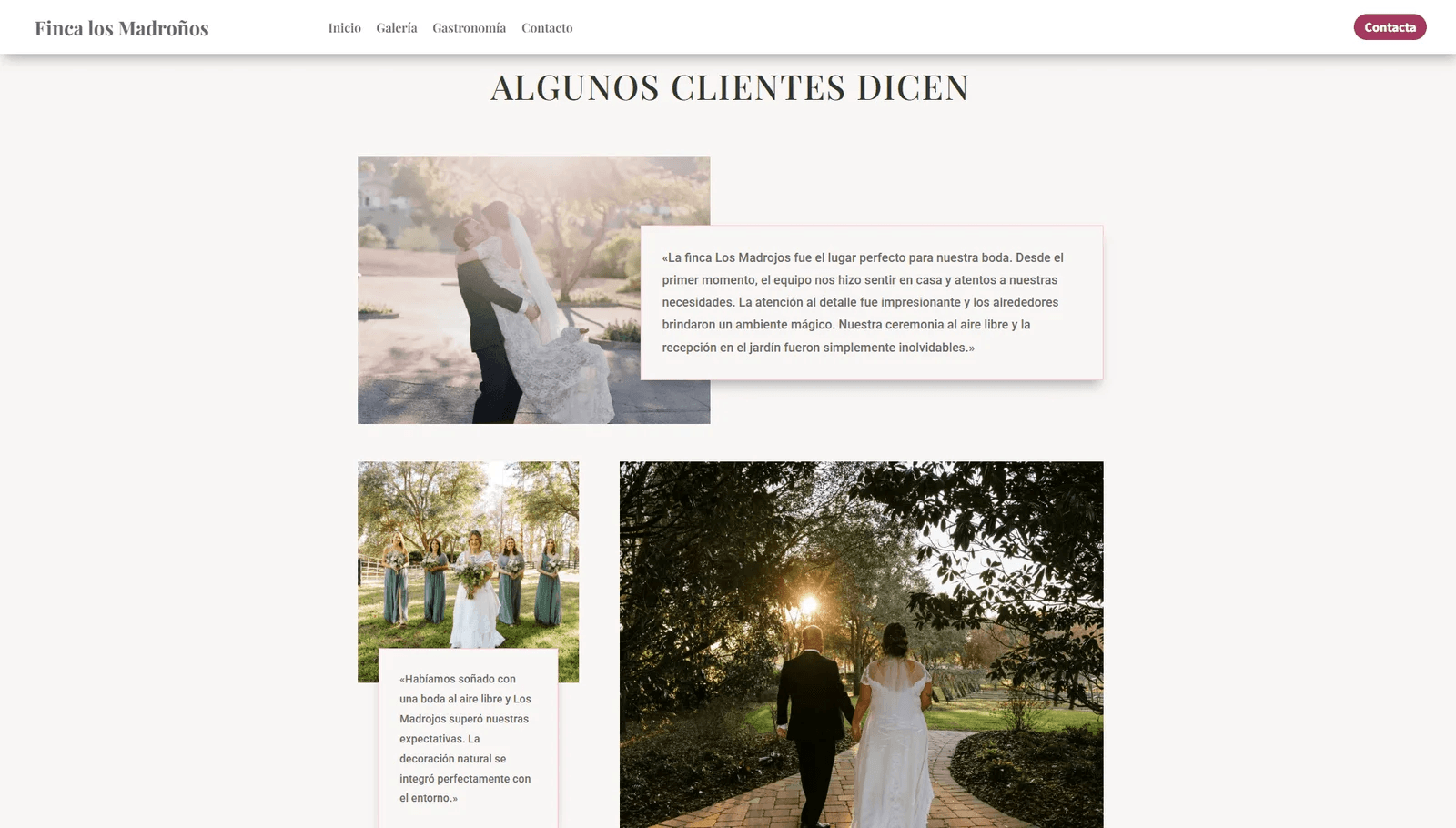 Galería de fotos Evolvio Events